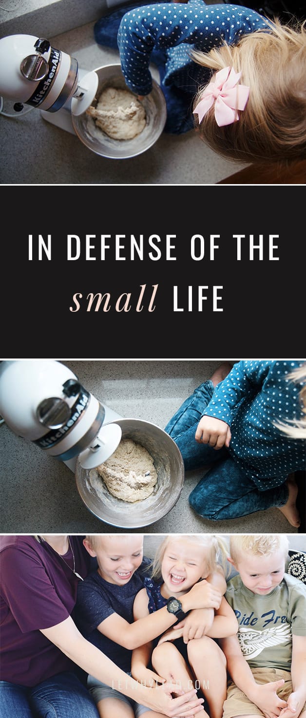 For many of us in the trenches of raising children and earning a living, life has never felt so small. But small doesn't mean unimportant—In Defense of the Small Life