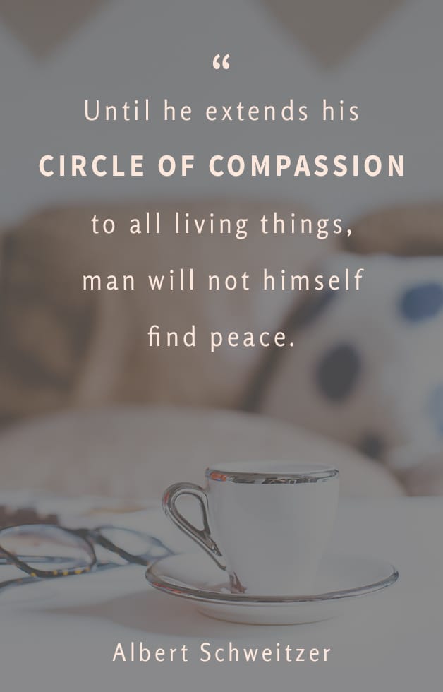 Love the idea of extending your circle of compassion! Inspiring, short post that is definitely worth your time.