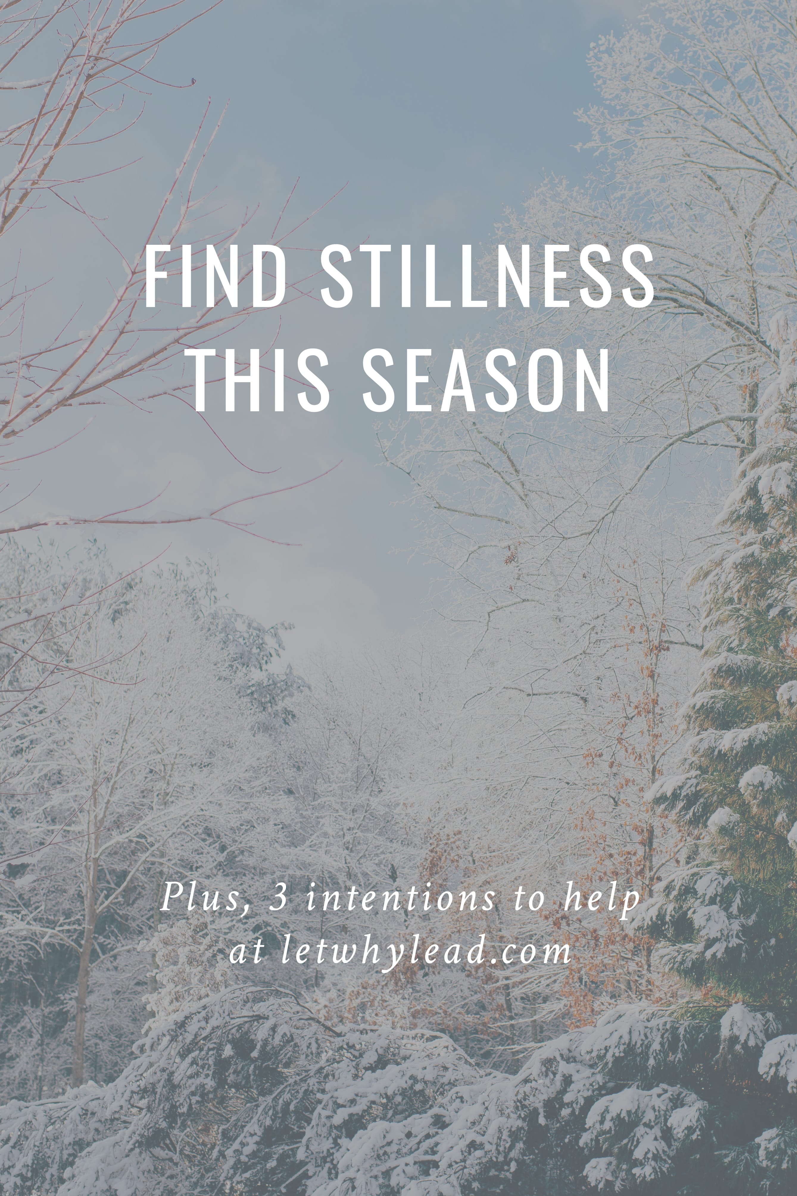 Find Stillness This Holiday Season with These 3 Intentions