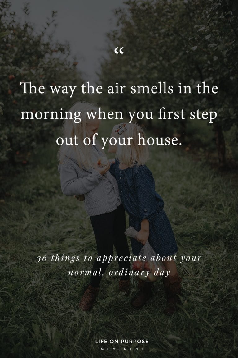 36 Things to Appreciate About Your Normal, Ordinary Day